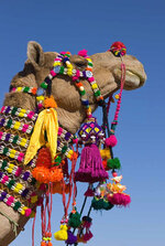Camel decoration I.jpg