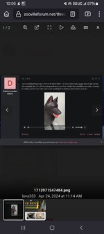 1000004668.jpg 1000004668.jpg