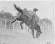 Vintage cowgirl_. Alice Greenough.jpg