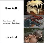 people-guessing-how-aliens-would-reconstruct-animals-based-on-their-skulls-is-a-meme-now-30-me...jpg