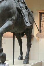 IMG_5308.jpeg