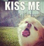 Kiss Me.jpg