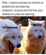 1000017246.jpg
