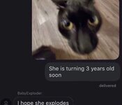 IMG_1295.jpeg