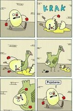 FB_IMG_1721545301033.jpg
