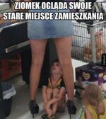 FB_IMG_1721545321638.jpg