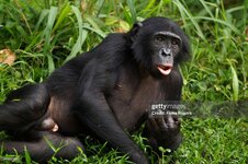 gettyimages-591071912-2048x2048.jpg