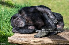 gettyimages-595059336-2048x2048.jpg