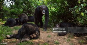 gettyimages-675003008-2048x2048.jpg