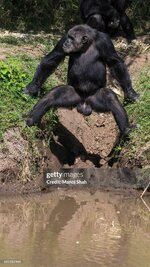 gettyimages-682282960-2048x2048.jpg
