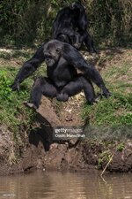 gettyimages-682282996-2048x2048.jpg