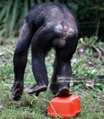 gettyimages-805827308-2048x2048.jpg