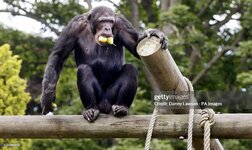 gettyimages-839248600-2048x2048.jpg