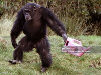 gettyimages-849779238-2048x2048.jpg