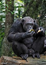 gettyimages-997738008-2048x2048.jpg