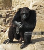 gettyimages-1070456158-2048x2048.jpg