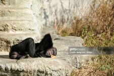 gettyimages-1073833710-2048x2048.jpg