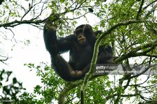 gettyimages-1147626871-2048x2048.jpg
