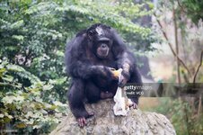 gettyimages-1192002470-2048x2048.jpg