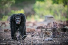 gettyimages-1215697550-2048x2048.jpg