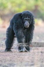 gettyimages-1215698136-2048x2048.jpg