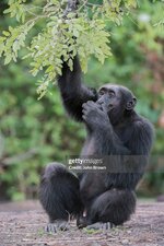 gettyimages-1215698514-2048x2048.jpg
