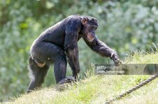 gettyimages-1241669379-2048x2048.jpg