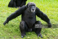 gettyimages-1250461834-1024x1024.jpg