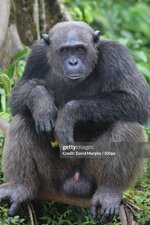 gettyimages-1401784021-2048x2048.jpg