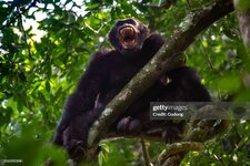 gettyimages-2161291204-2048x2048.jpg