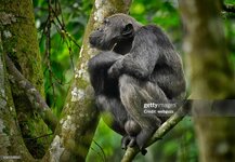 gettyimages-2161378332-2048x2048.jpg