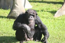 IMG_0824.jpg
