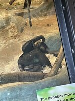 IMG_9728.jpg
