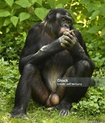 istockphoto-1139323211-1024x1024.jpg