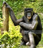 istockphoto-1139358874-1024x1024.jpg