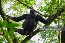 istockphoto-1977946287-1024x1024.jpg