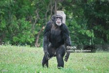 istockphoto-2149193287-1024x1024.jpg