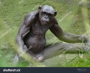 stock-photo-monkey-at-zoo-india-1270550899.jpg