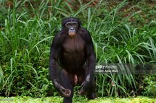 gettyimages-591071854-2048x2048.jpg