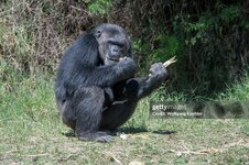 gettyimages-622402102-2048x2048.jpg