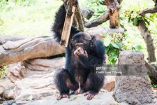 gettyimages-1064154792-2048x2048.jpg