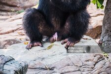 gettyimages-1064154866-2048x2048.jpg