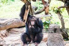 gettyimages-1064154872-2048x2048.jpg