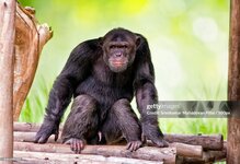 gettyimages-1082881362-2048x2048.jpg