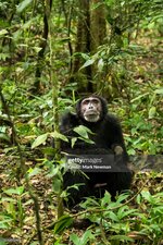 gettyimages-1143342403-2048x2048.jpg