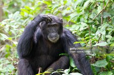 gettyimages-1149529386-2048x2048.jpg