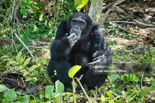 gettyimages-1347285767-2048x2048.jpg