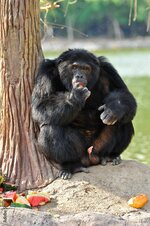 1000_F_90698395_vCN3OZZSGbgzfrgmg9cOi82Vz1MvtL6e.jpg