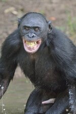 1000_F_111517430_Srzba5p951hAH9ecQYLcAx1GUUZS9C7R.jpg