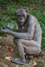images.unsplash.com_photo-1642581684662-07946abef05a_q=80&w=1974&auto=format&fit=crop&ixlib=rb...jpg